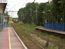 [Overgrown railway]
