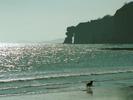 [Dawlish beach]