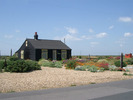 [Garden in Dungeness]