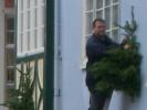 [Putting up the trees]