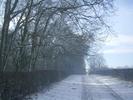 [Road in the snow]