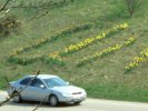 [Roadside spelling]