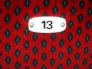 [Seat D 13]