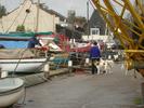 [Dogs on the quayside]