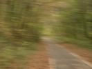 [Swansea Bike Path]