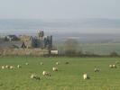 [Weobley Castle]