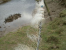 [Fleece caught on barbed wire]