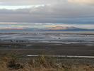 [Looking across to Criffel]