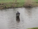 [Fly Fishing]