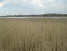 [The Wyre near Little Thornton]