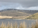 [Plynlimon rising above Nant-y-moch]