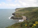 [Looking towards Castell Bach from the cliffs above Cwmtydu]