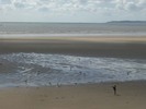 [Child throwing food for seagulls on Aberavon Beach]