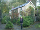 [The cottage]