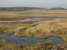 [Dingle Marsh]