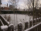 [Snowy garden]