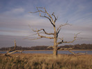 [Benacre Broad]