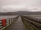 [Barmouth Bridge]
