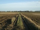 [Track between two ploughed fields]