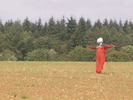 [Scarecrow]
