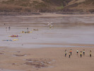 [Surfers in circles]