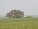 [Tumuli on Avebury Down]