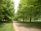 chequers-drive.jpg