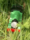 percy.jpg