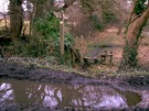 flooded-path.jpg
