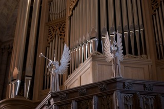davids-angels.jpg
