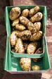 potatoes.png