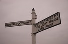lizard-signpost.jpg