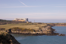 wylfa.png
