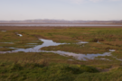 carnforth-marsh.png