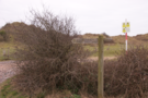 braunton-burrows.png