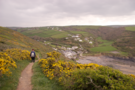 crackington.png