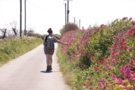 em-flowers-road.png
