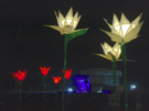mainstage-flowers.png