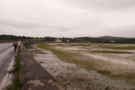 hayle-estuary.png