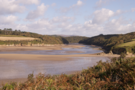 erme-estuary.png