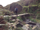 river-cove-bridge.png