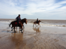 horses-ingoldmells.png