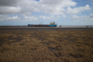 immingham-ship.png