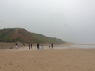 beach-cricket.png