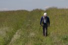 pab-meadow.png