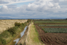 bank-ditch-field.png