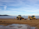 beach-diggers.png