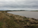 river-parrett.png