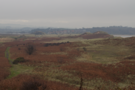 towards-alnmouth.png