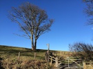 howick-fort.jpg